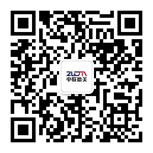 桃子视频在线观看高清免费视频微信