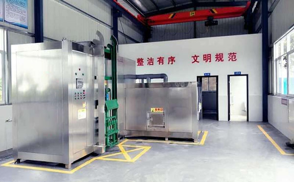 生活一色桃子在线视频線