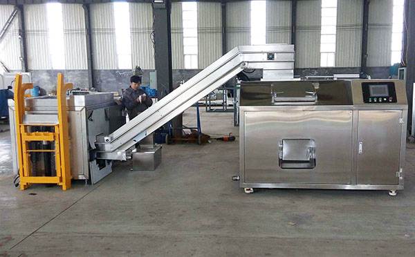 生活一色桃子在线视频